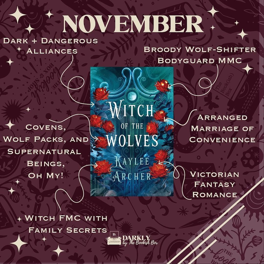 November 2025 The Bookish Box · Darkly teaser