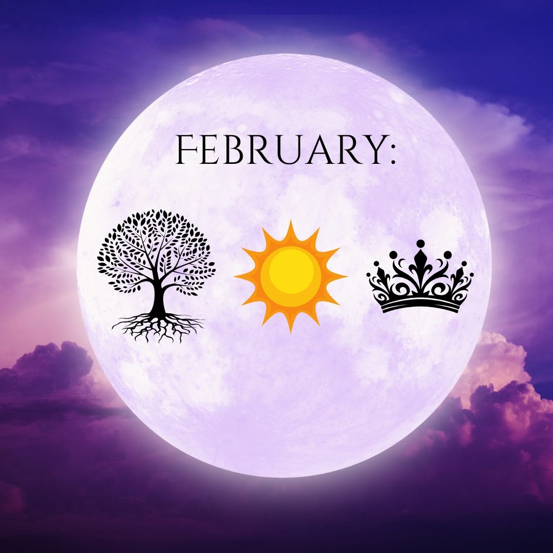 Moonlight Book Box February 2025 teaser