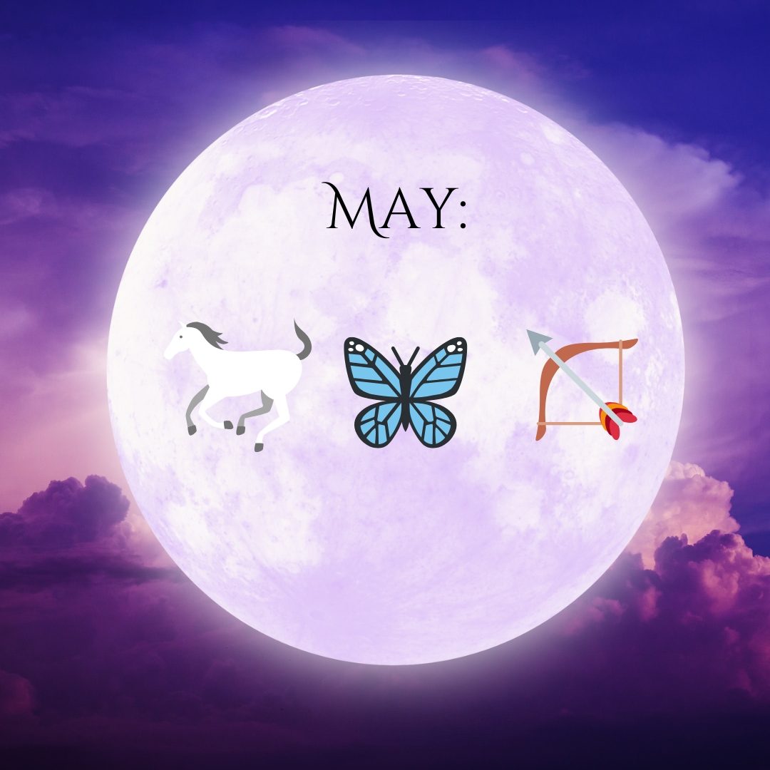 Moonlight Book Box May 2025 teaser