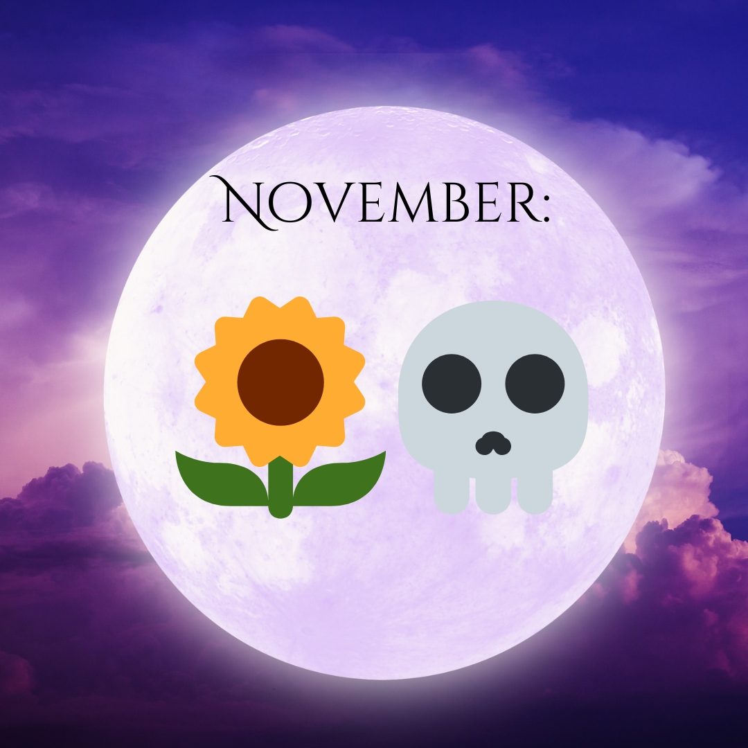 Moonlight Book Box November 2025 teaser